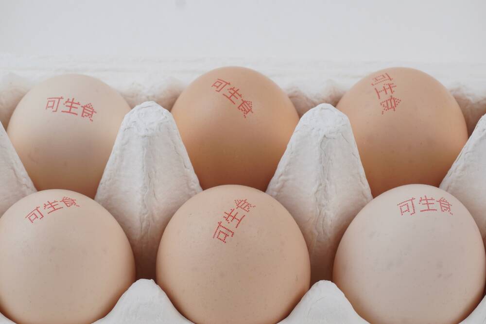 CIJ Sürekli Mürekkep Püskürtmeli Yazıcı  14